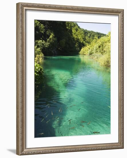 Small Fish in Turquoise Lake, Plitvice Lakes National Park, Unesco World Heritage Site, Croatia-Christian Kober-Framed Photographic Print