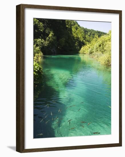 Small Fish in Turquoise Lake, Plitvice Lakes National Park, Unesco World Heritage Site, Croatia-Christian Kober-Framed Photographic Print