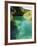 Small Fish in Turquoise Lake, Plitvice Lakes National Park, Unesco World Heritage Site, Croatia-Christian Kober-Framed Photographic Print