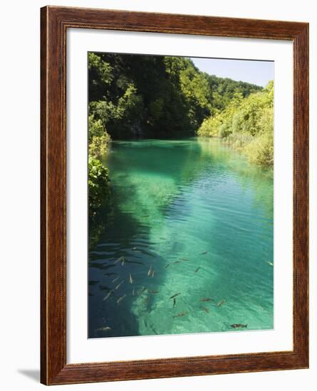 Small Fish in Turquoise Lake, Plitvice Lakes National Park, Unesco World Heritage Site, Croatia-Christian Kober-Framed Photographic Print