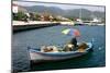 Small Fishing Boat in the Harbour, Sami, Kefalonia, Greece-Peter Thompson-Mounted Photographic Print