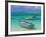 Small Fishing Boats in the Turquoise Sea, Mauritius, Indian Ocean, Africa-null-Framed Premium Photographic Print