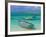 Small Fishing Boats in the Turquoise Sea, Mauritius, Indian Ocean, Africa-null-Framed Premium Photographic Print