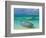 Small Fishing Boats in the Turquoise Sea, Mauritius, Indian Ocean, Africa-null-Framed Photographic Print