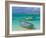 Small Fishing Boats in the Turquoise Sea, Mauritius, Indian Ocean, Africa-null-Framed Photographic Print