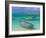 Small Fishing Boats in the Turquoise Sea, Mauritius, Indian Ocean, Africa-null-Framed Photographic Print