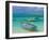 Small Fishing Boats in the Turquoise Sea, Mauritius, Indian Ocean, Africa-null-Framed Photographic Print