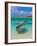 Small Fishing Boats in the Turquoise Sea, Mauritius, Indian Ocean, Africa-null-Framed Photographic Print