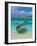 Small Fishing Boats in the Turquoise Sea, Mauritius, Indian Ocean, Africa-null-Framed Photographic Print