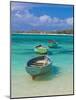 Small Fishing Boats in the Turquoise Sea, Mauritius, Indian Ocean, Africa-null-Mounted Photographic Print