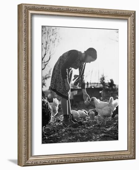 Small Flock of Chickens in Swiss Farmyard Being Fed by Girl of the Farm Family-Yale Joel-Framed Photographic Print