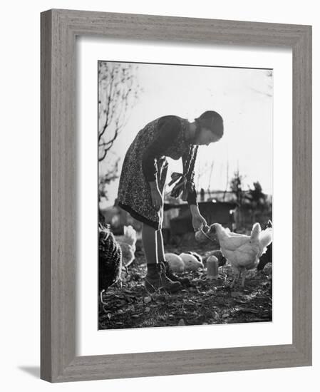 Small Flock of Chickens in Swiss Farmyard Being Fed by Girl of the Farm Family-Yale Joel-Framed Photographic Print