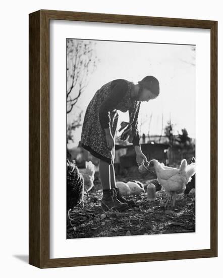 Small Flock of Chickens in Swiss Farmyard Being Fed by Girl of the Farm Family-Yale Joel-Framed Photographic Print