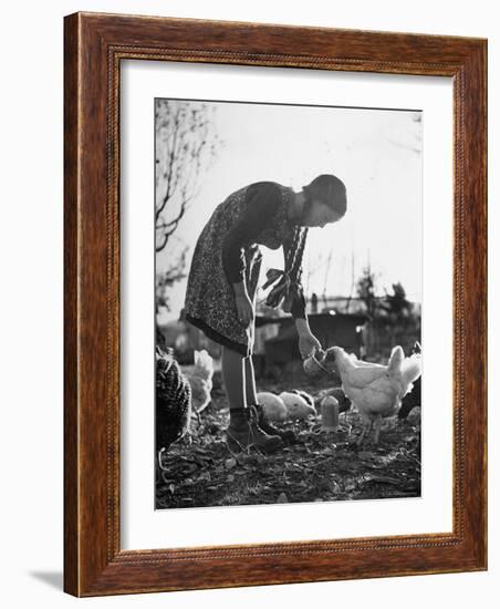 Small Flock of Chickens in Swiss Farmyard Being Fed by Girl of the Farm Family-Yale Joel-Framed Photographic Print