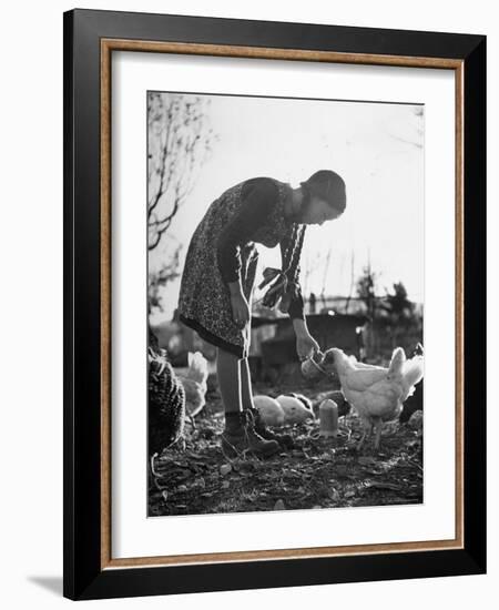 Small Flock of Chickens in Swiss Farmyard Being Fed by Girl of the Farm Family-Yale Joel-Framed Photographic Print