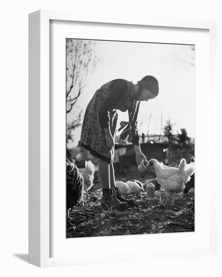 Small Flock of Chickens in Swiss Farmyard Being Fed by Girl of the Farm Family-Yale Joel-Framed Photographic Print