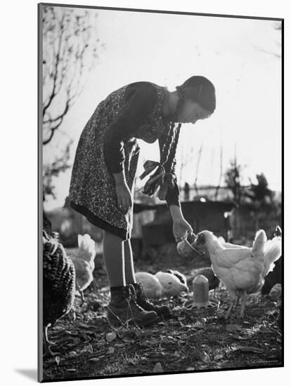 Small Flock of Chickens in Swiss Farmyard Being Fed by Girl of the Farm Family-Yale Joel-Mounted Photographic Print