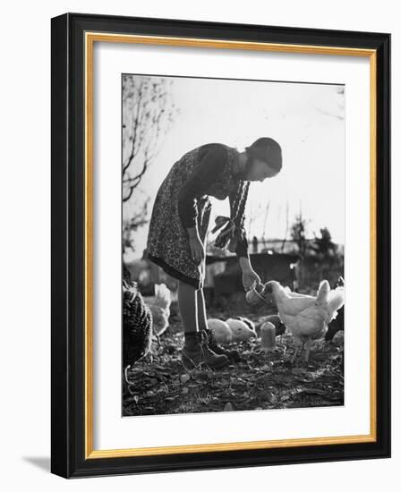Small Flock of Chickens in Swiss Farmyard Being Fed by Girl of the Farm Family-Yale Joel-Framed Photographic Print