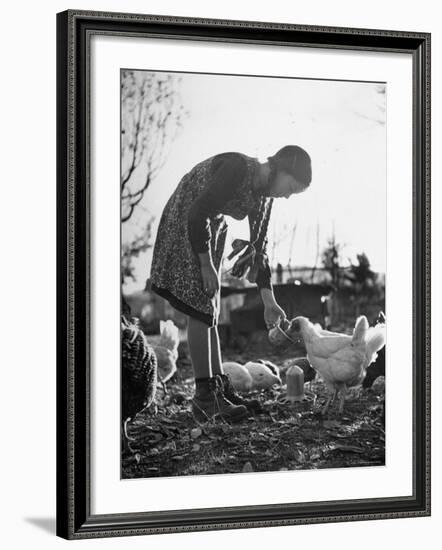 Small Flock of Chickens in Swiss Farmyard Being Fed by Girl of the Farm Family-Yale Joel-Framed Photographic Print