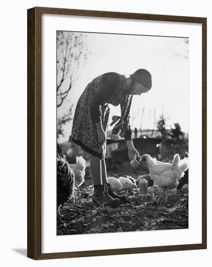 Small Flock of Chickens in Swiss Farmyard Being Fed by Girl of the Farm Family-Yale Joel-Framed Photographic Print