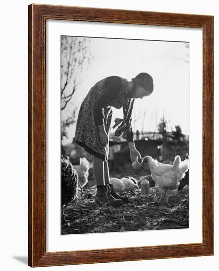 Small Flock of Chickens in Swiss Farmyard Being Fed by Girl of the Farm Family-Yale Joel-Framed Photographic Print