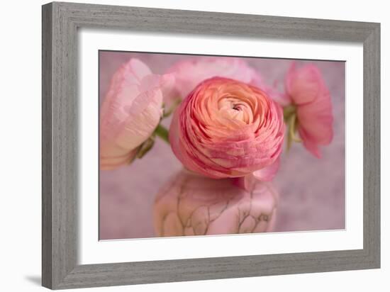 Small Flower-Cora Niele-Framed Giclee Print