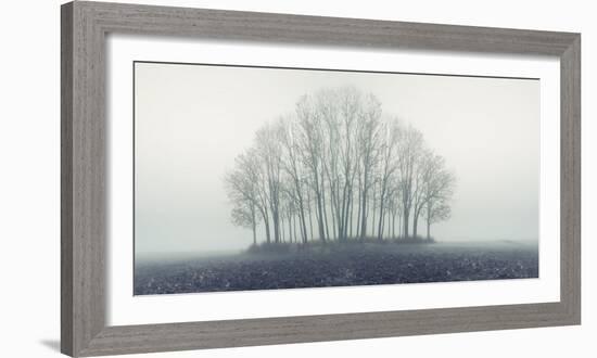 Small Forest in Autumn Foggy Morning-Konrad B?k-Framed Photographic Print