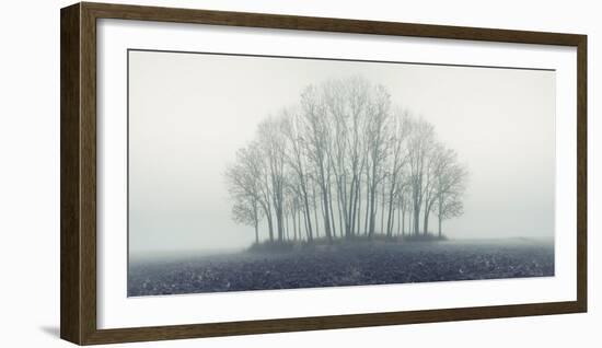 Small Forest in Autumn Foggy Morning-Konrad B?k-Framed Photographic Print