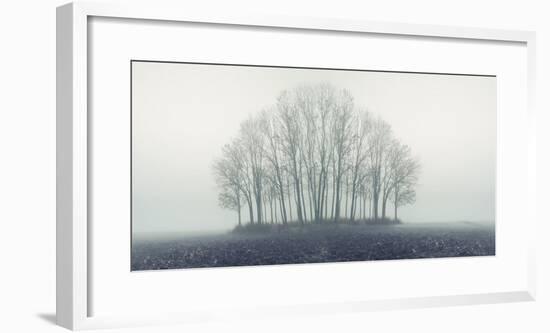 Small Forest in Autumn Foggy Morning-Konrad B?k-Framed Photographic Print