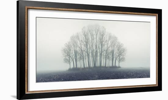 Small Forest in Autumn Foggy Morning-Konrad B?k-Framed Photographic Print