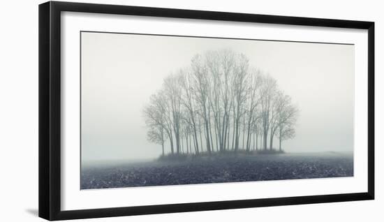 Small Forest in Autumn Foggy Morning-Konrad B?k-Framed Photographic Print