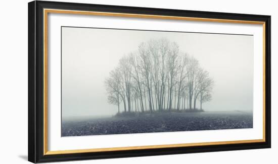 Small Forest in Autumn Foggy Morning-Konrad B?k-Framed Photographic Print