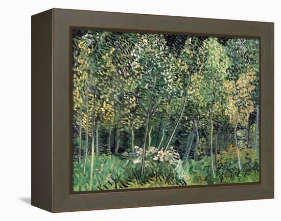 Small forest, July 1890-Vincent van Gogh-Framed Premier Image Canvas