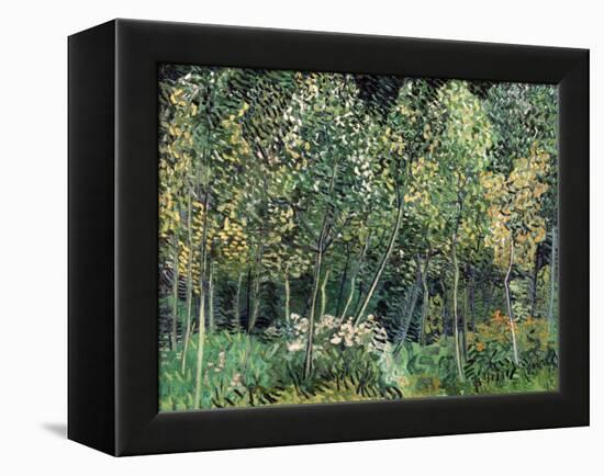 Small forest, July 1890-Vincent van Gogh-Framed Premier Image Canvas