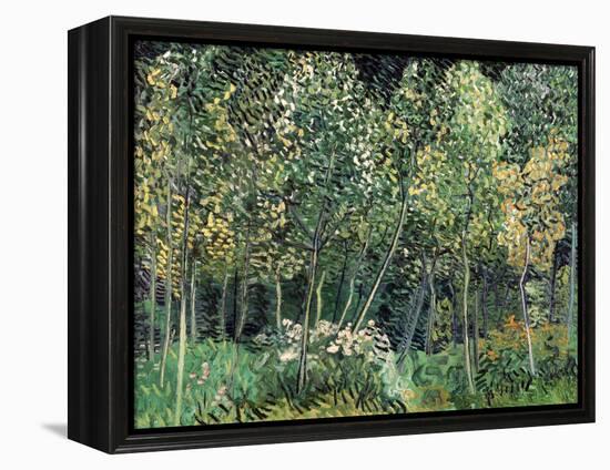 Small forest, July 1890-Vincent van Gogh-Framed Premier Image Canvas