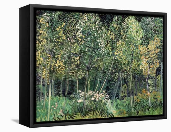 Small forest, July 1890-Vincent van Gogh-Framed Premier Image Canvas