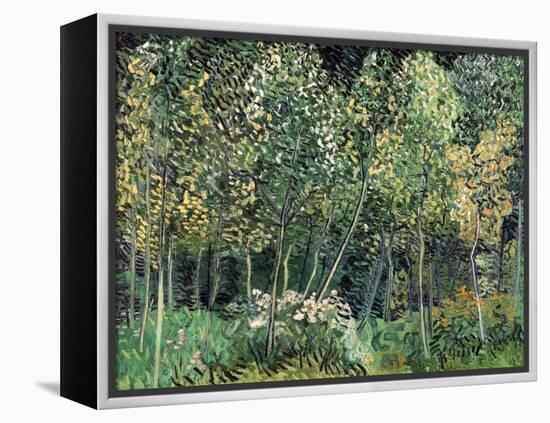 Small forest, July 1890-Vincent van Gogh-Framed Premier Image Canvas