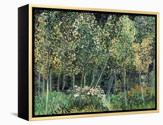 Small forest, July 1890-Vincent van Gogh-Framed Premier Image Canvas