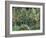 Small forest, July 1890-Vincent van Gogh-Framed Giclee Print