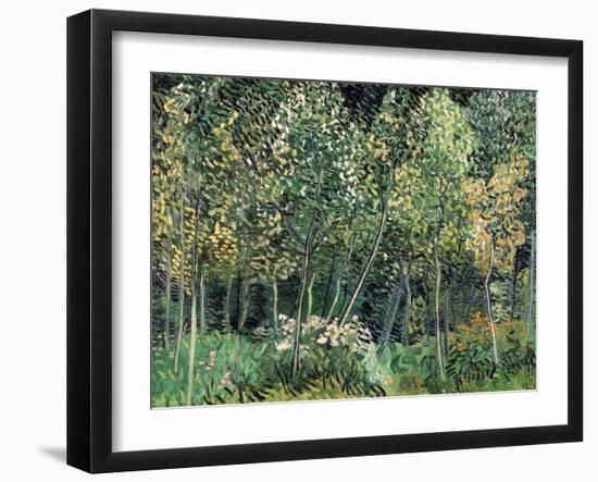 Small forest, July 1890-Vincent van Gogh-Framed Giclee Print