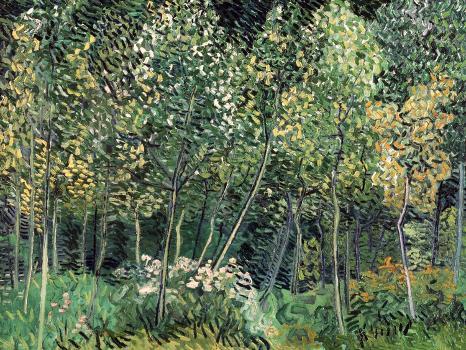 Small forest, July 1890' Giclee Print - Vincent van Gogh | Art.com