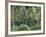 Small forest, July 1890-Vincent van Gogh-Framed Giclee Print