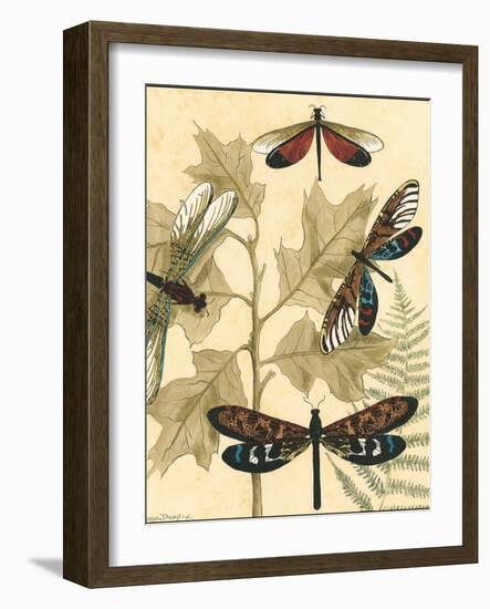 Small Graphic Dragonflies I-Megan Meagher-Framed Art Print