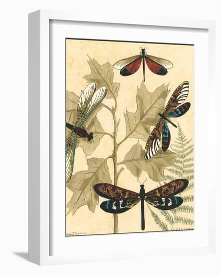 Small Graphic Dragonflies I-Megan Meagher-Framed Art Print