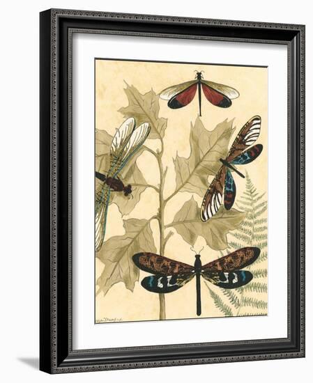 Small Graphic Dragonflies I-Megan Meagher-Framed Art Print