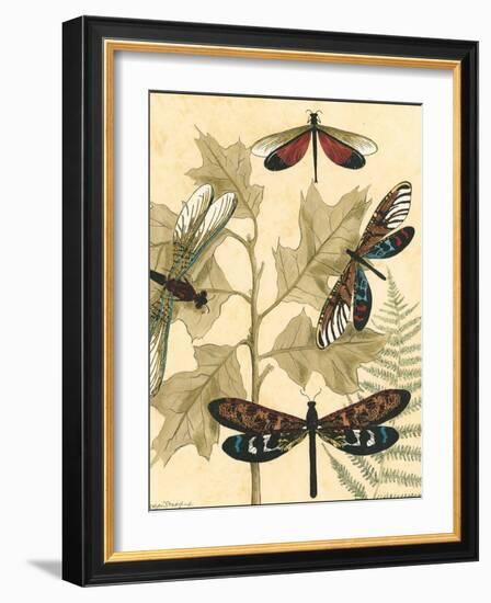 Small Graphic Dragonflies I-Megan Meagher-Framed Art Print