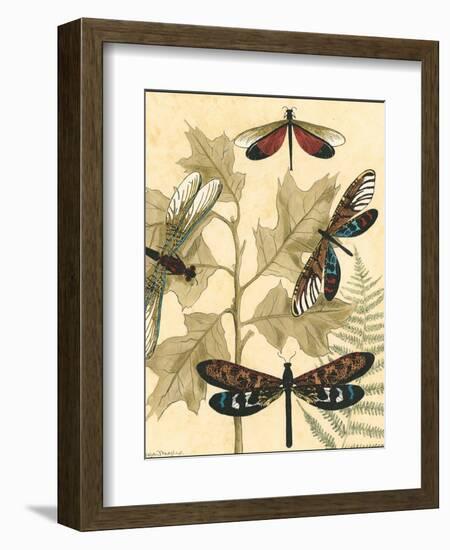 Small Graphic Dragonflies I-Megan Meagher-Framed Art Print