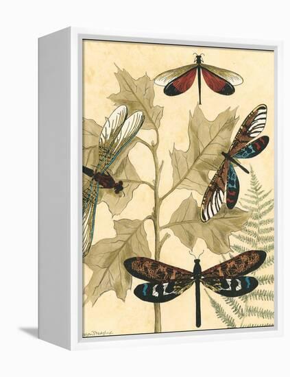 Small Graphic Dragonflies I-Megan Meagher-Framed Stretched Canvas