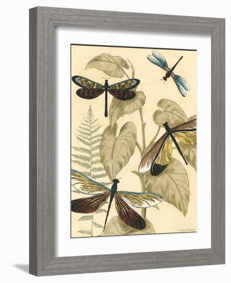 Small Graphic Dragonflies II-Megan Meagher-Framed Art Print