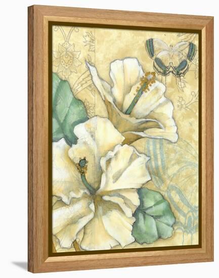 Small Hibiscus Medley II-Jennifer Goldberger-Framed Stretched Canvas